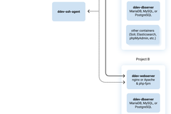 DDEV Container Architecture