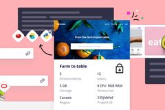 DDEV + Platform.sh