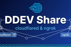DDEV now supports many ways to do `ddev share` including cloudflared, ngrok, and even custom share providers
